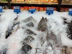 -麦德龙(虹口江湾店)
