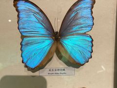 -昆明动物博物馆