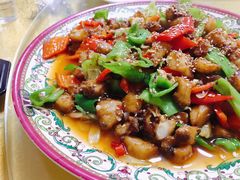 -煲来饱去冷水鱼