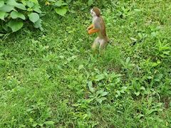 -上海动物园(地铁站)