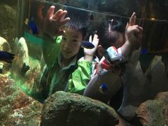 -暹罗海洋世界
