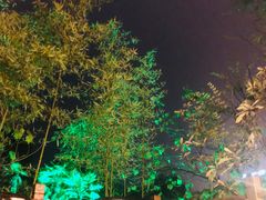 -咸宁万豪温泉谷度假区