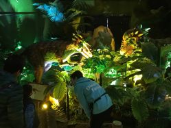 -恐龙探索乐园(磁器口店)