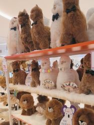 点击看大图 -IMON·HANSA潮玩玩偶毛绒玩具(通州万象汇店)