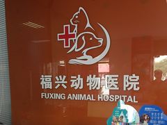 -瑞派福兴宠物医院犬猫全科·骨科·中西医结合(河东店)