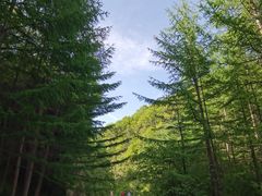 -秦岭风景区
