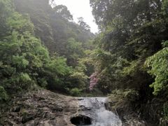 -五泄景区