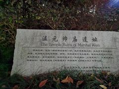 -温元帅庙遗址