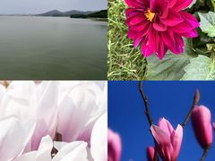 -金沙湖旅游度假区