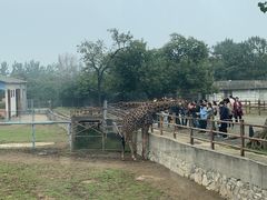 -西安秦岭野生动物园