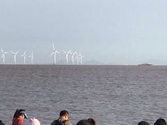 -南汇嘴观海公园