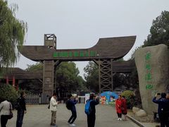 -溱湖国家湿地公园