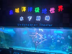 -泉城欧乐堡海洋极地世界