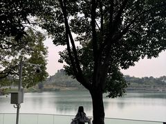 -水濂山森林公园