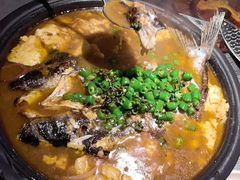 -探鱼·鲜青椒爽麻烤鱼(北京路天河城店)