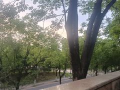 -武昌江滩