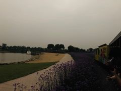 -歌斐颂巧克力小镇