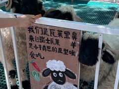 -水上乐园·欢乐世界