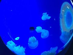 -荔湾足浴·按摩·SPA会所(龙华店)