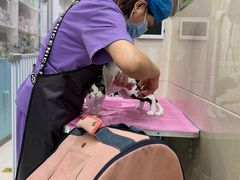 -北京观赏动物医院·24小时大型综合·猫专科·异宠专科