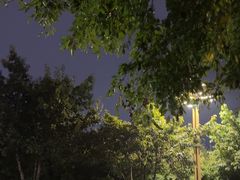 -眉山湿地公园(东坡区)