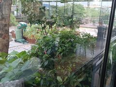 -蘇河湾·新鲁菜·泰山宴(泰山店)