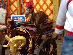 -九十九顶毡房(阜石路店)