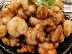 -丁老爷子苏香圆