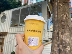 多肉杨枝甘露-椿风·养身茶饮(吉大店)