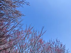 -蜀冈西峰生态公园