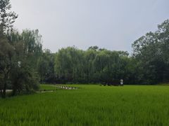 -北坞公园