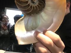 -青岛贝壳博物馆