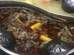 -肥婆麻辣火锅.顺德首创药材麻辣火锅(容桂店)