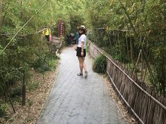 -田园东方蜜桃村的田野营地