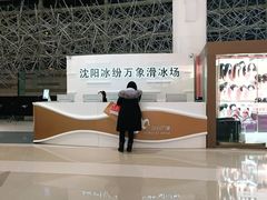 -冰纷万象滑冰场(沈阳万象城店)
