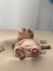 -玛瑞莎孕婴童摄影到家拍