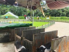 -前小桔亲子创意农场·草莓采摘·露营烧烤