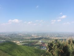 -妈妈手(山大总店)
