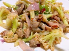 爆炒鱼肚-鉴江大排档(阳光小区店)