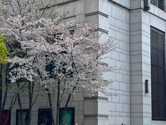 -杭州城中香格里拉大酒店