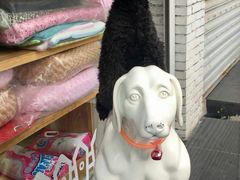 -我爱吾宠宠物美容院(朝阳路店)