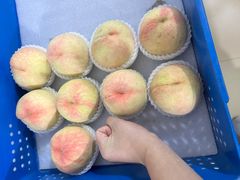 -老袁家蜜桃农场·阳山水蜜桃