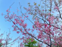 -福建鲤鱼洲酒店