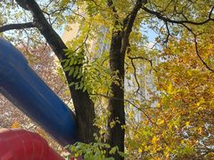 -猫爷的腔调·黔小馆(交大医学住宅区店)