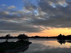 -芒洲湿地公园