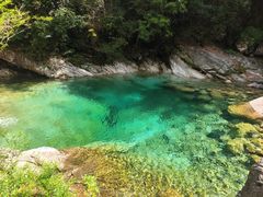 -黄山翡翠谷景区