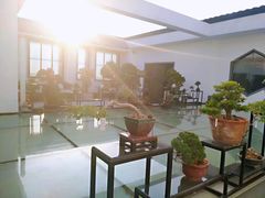 -稍可轩博物馆餐厅