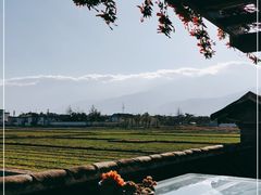 -喜林苑·稻田餐厅(品相府店)