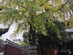 -长春观