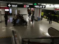 -上海游泳馆(地铁站)